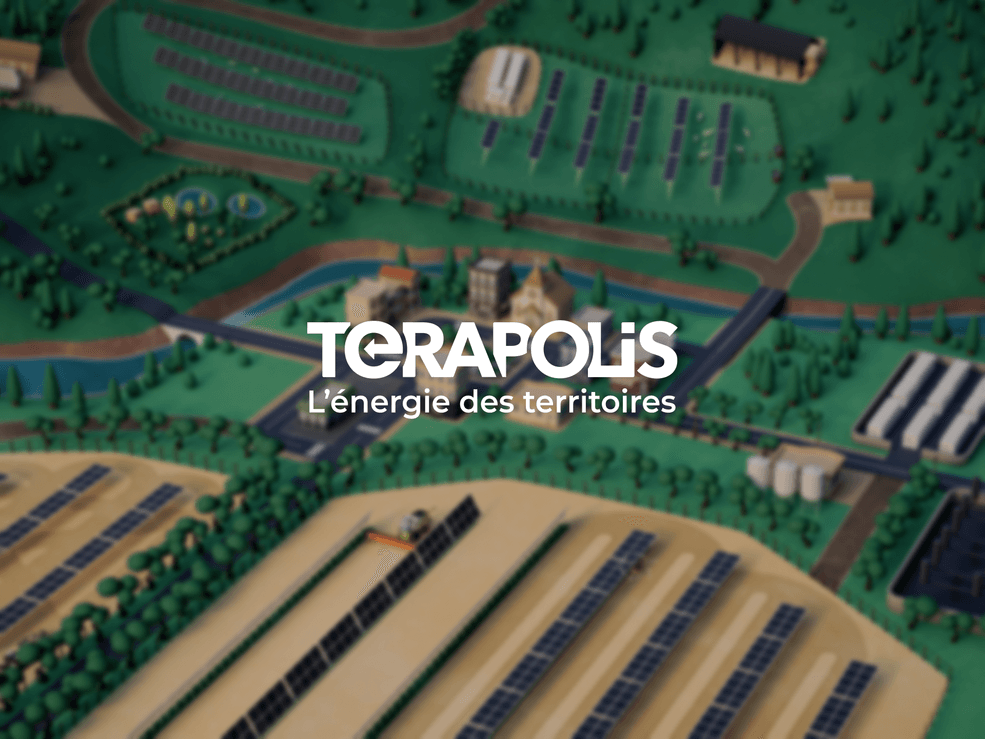 Terapolis cover image